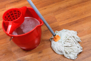 Mop Bucket Wooden Floor