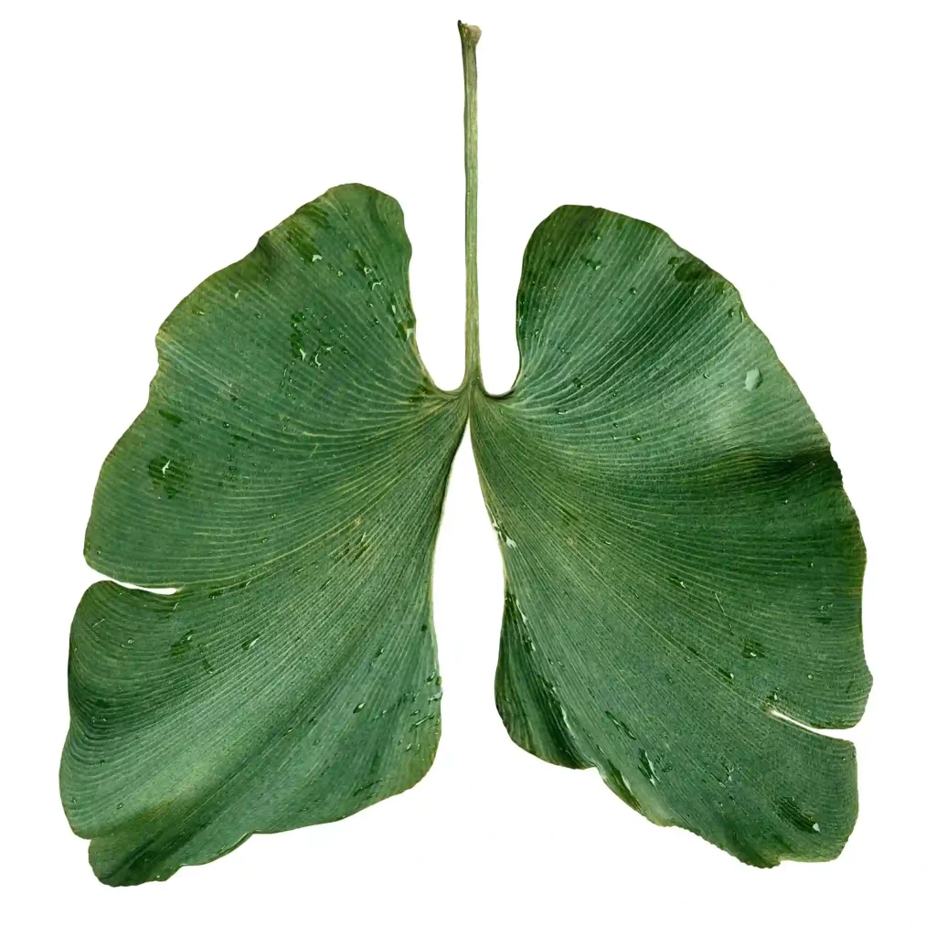 green leaf