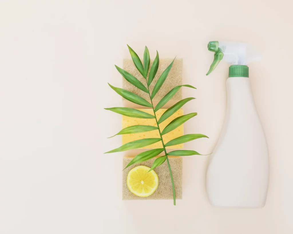 white cleaning bottle with sponges and green leaf