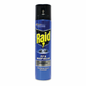 Raid fly and wasp killer in aerosol can