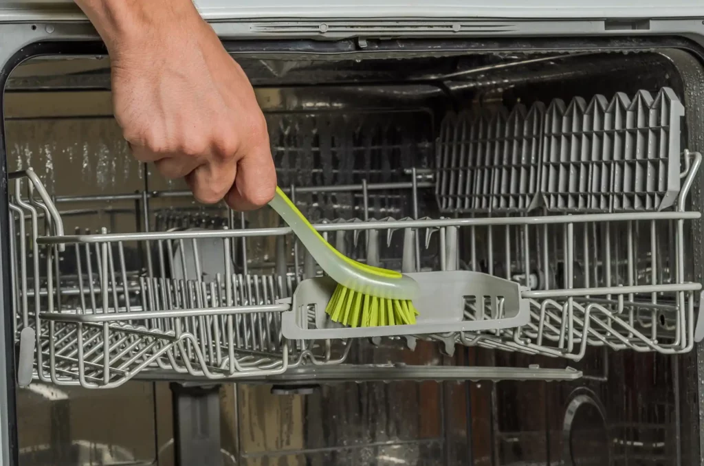 person using green scrub brush to clean interior of dishwasher