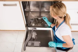 Women deep cleaning dishwasher