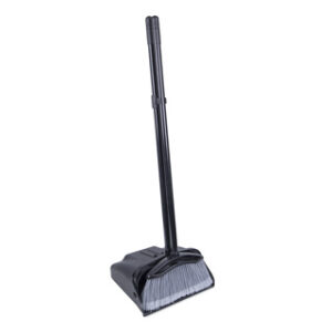Professional lobby dustpan/brush set